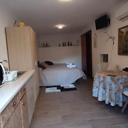 Casa Das Matriarcas - Casa Da Avo Benvinda Belmonte  Extérieur photo